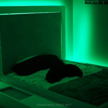 Bed In Floor Contemporary Bedroom Project Photos 9807 Green LED Lighting