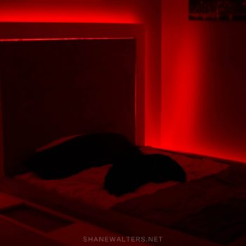 Bed In Floor Contemporary Bedroom Project Photos 9819 Red LED Lighting