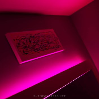 Bed In Floor Contemporary Bedroom Project Photos 9857 Pink Headboard
